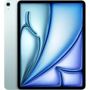 iPad Pro 13 (Used)